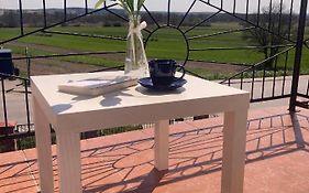 Apartament Villa Olivia